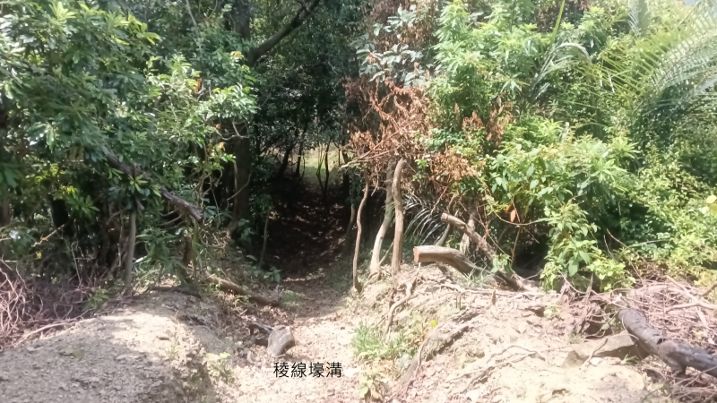 d7b25cd667621674ab0910473ac1a0b4.png