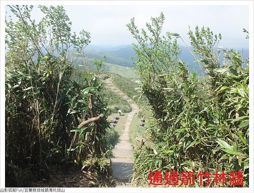 桃源谷稜線 (15).JPG - 灣坑頭山