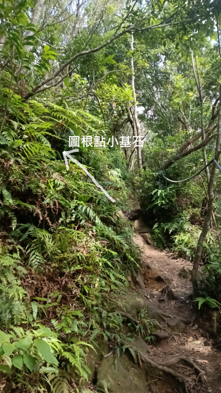 d85d5a707f5746df60de81462f4a0d3a.png