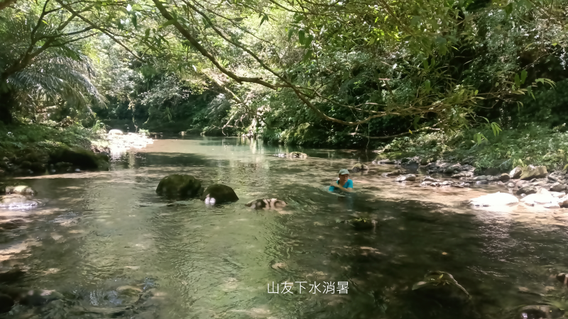 d8e5485246da692eaacf1887e0efdf15.png