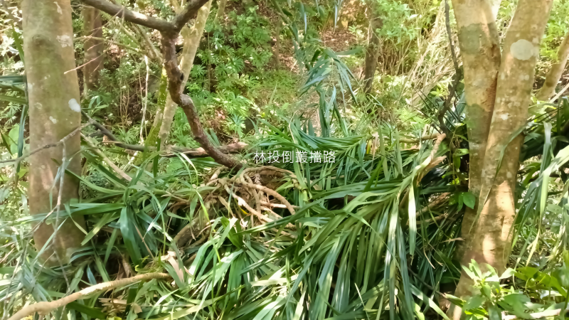 d8ebe4300c2370ecd4d42c5804a43108.png