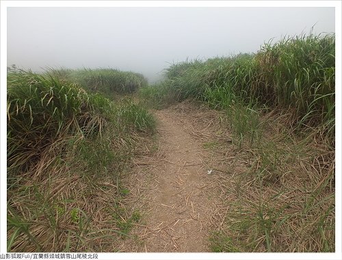 雪山尾稜北段 (74).JPG - 雪山尾稜北段