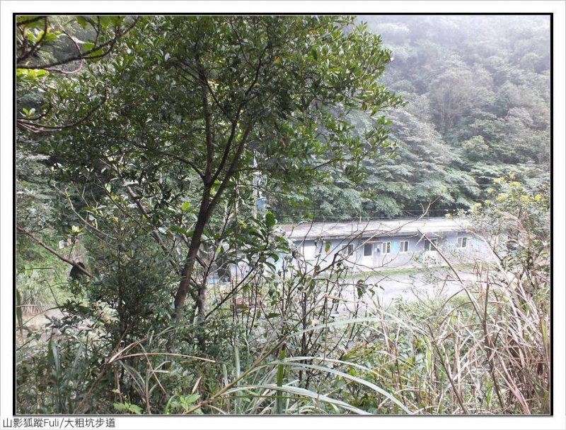 大粗坑步道 (20).jpg - 大粗坑步道