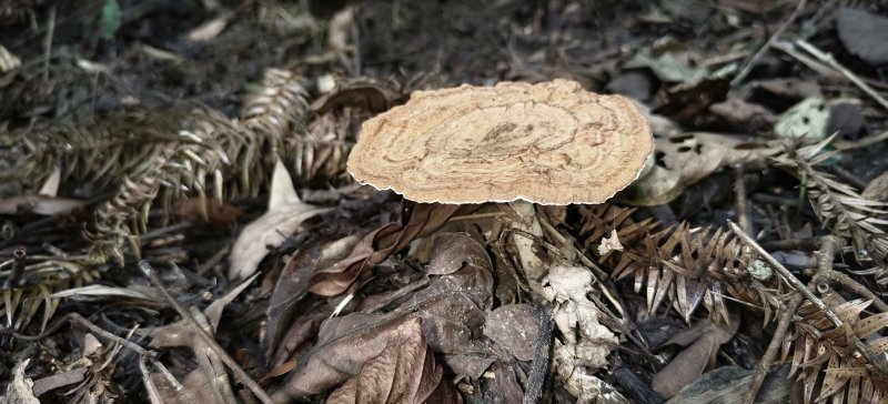 d913d8c4ff012701bfc11f94d012c72a.jpg