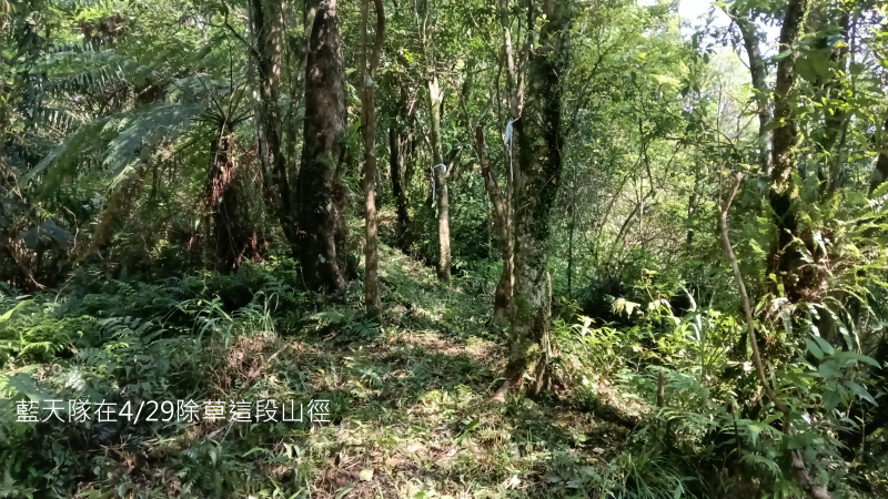 d91aefceb362a650f16a171f064b6136.png