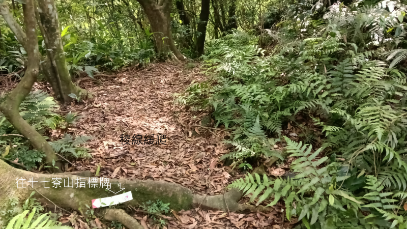 d935281558114c0526a8833f93363f98.png