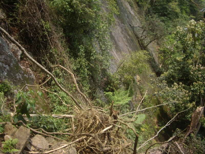 IMGP9127.JPG - 苗栗泰安冬瓜山步道