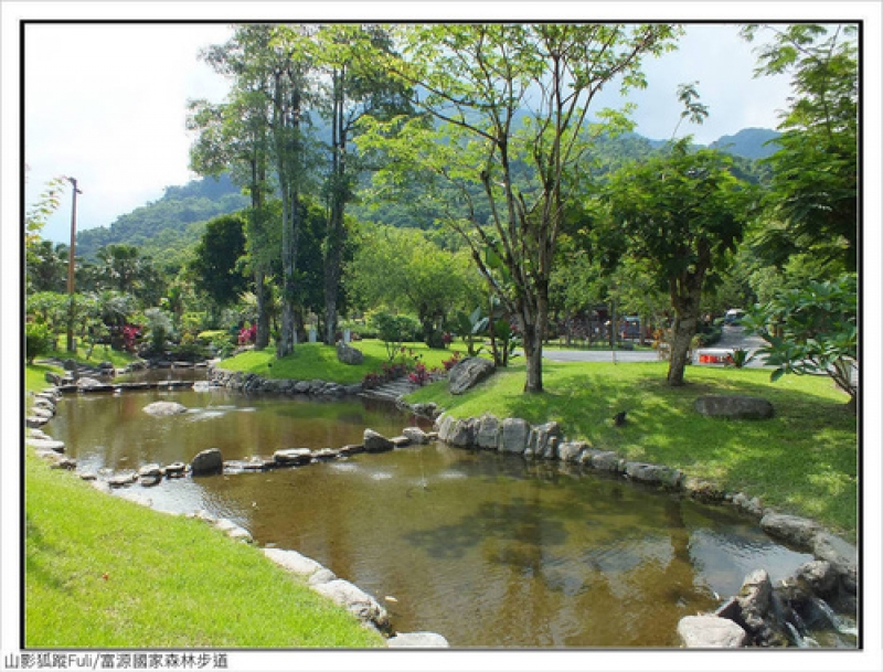 花蓮 富源國家森林步道 健行筆記