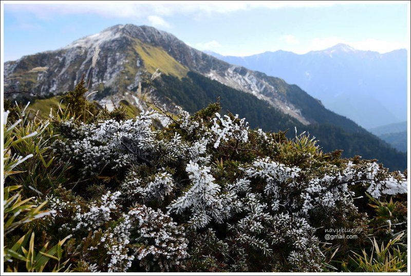 合歡山南峰主峰 (32).JPG