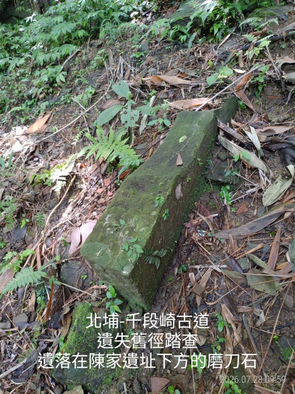 d9f9add54aa58f298a6548042d8ad6de.jpg