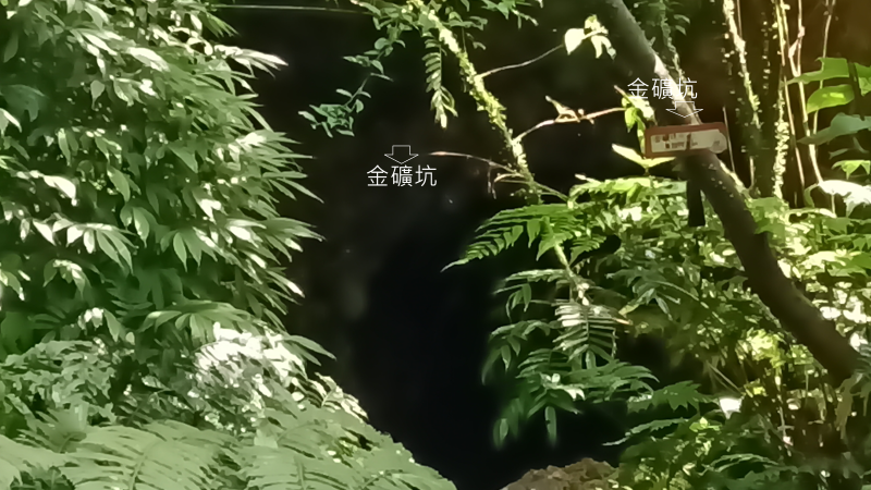 da02e3f22c3ea2b5464b6bdb9a0b6240.png
