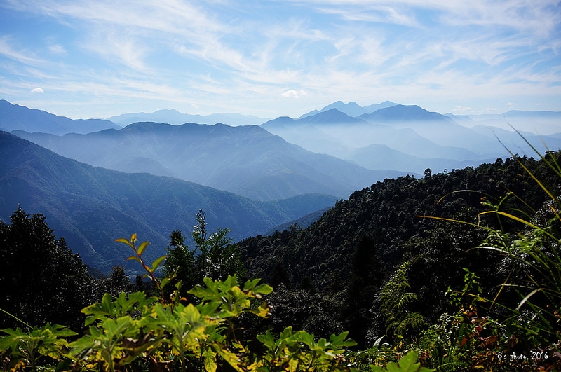 凌霄殿產道視野