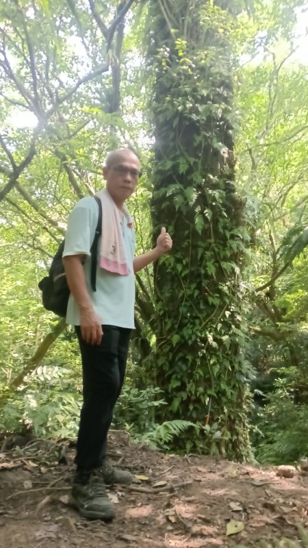 daef1b9c2142bd229cf7646363c183ec.jpg