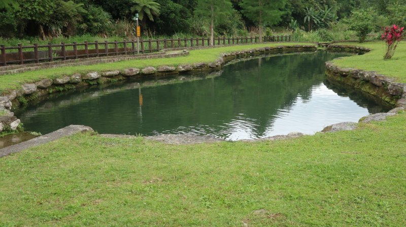 坪林金瓜寮魚蕨、蕨類步道  九芎根親水公園 + 坪林觀光吊橋 觀魚步道