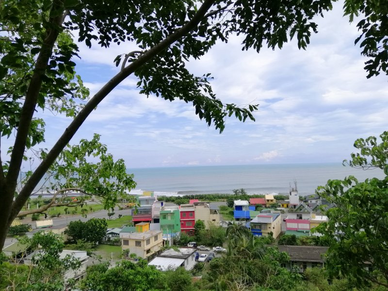 【台東。大武】全台最迷你的國家森林步道。 大武國家森林步道