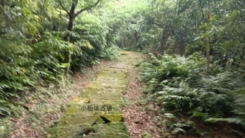 dbcd5ef11d5c9f2470d36eaa636b4d28.png