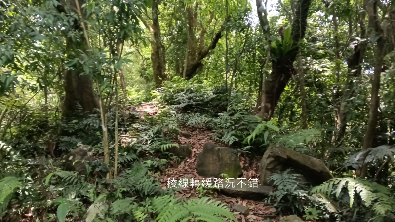 dbd1696e55a9f908e4ccc807ad987cc6.png