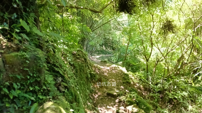 dc16f32fa3a27dc4aa75ab88c8c527cd.png