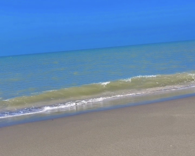 新屋綠色走廊自行車道