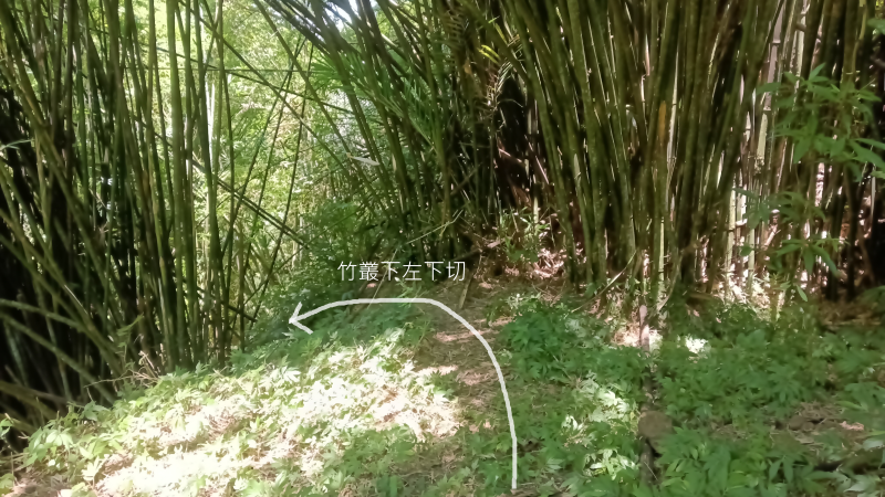 dc5217ff3cf602a88f1546a799fb9b72.png