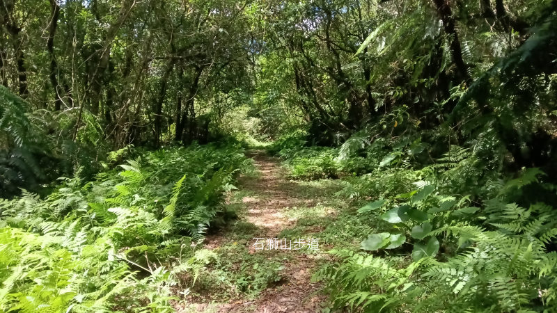 dc689261b90f623fbf82ebce90e12834.png
