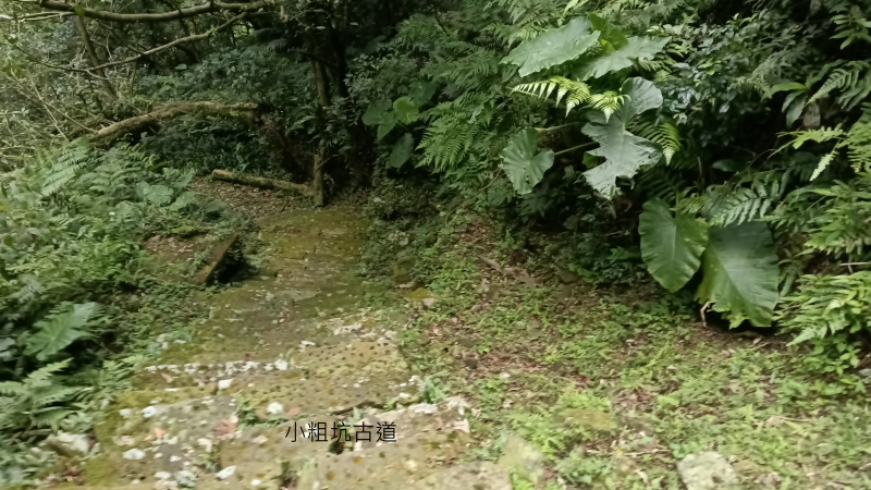 dcc5a0db3f30e891e0c369935ac703e9.png