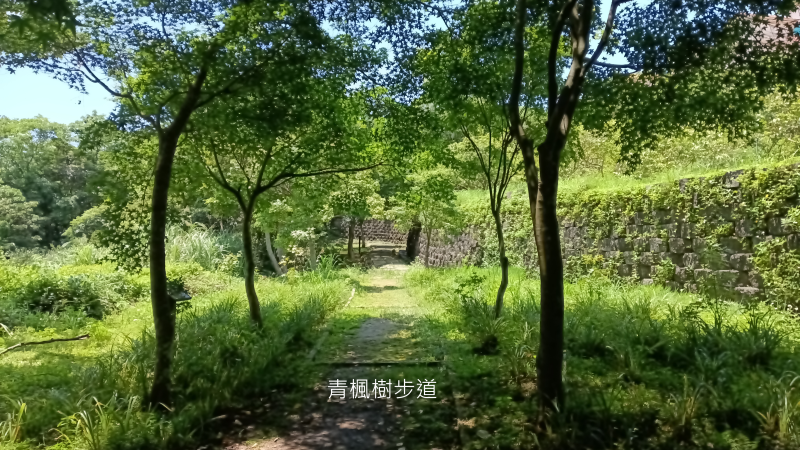 dcc97d2e644af9df7f07d25a0f5be2b8.png