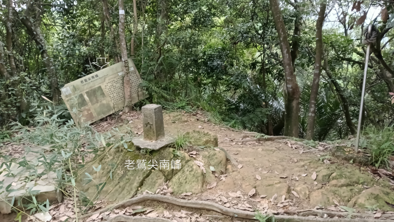 dd05556e800a34bb668dbdee1dc0d7fe.png
