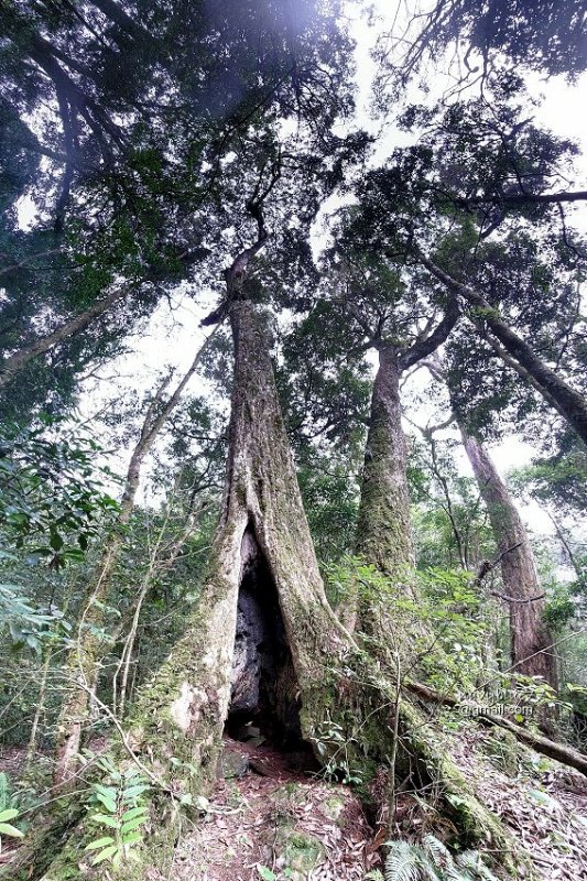 沙蓮山橫嶺山 (69).jpg