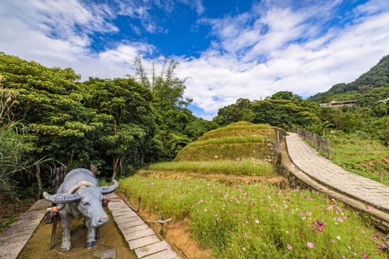 微笑山線：【臺北友誼步道】樟樹步道