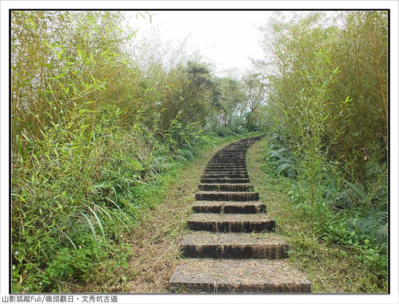 嶺頭觀日、文秀坑古道 (11).jpg - 嶺頭觀日、文秀坑古道