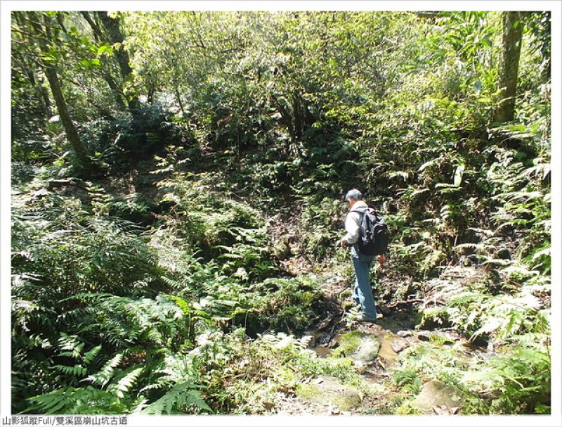 崩山坑古道 (63).JPG - 崩山坑古道