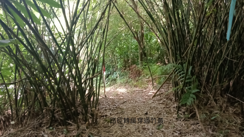 ddd91290aa5d376fd7f25f4ed34d848a.png