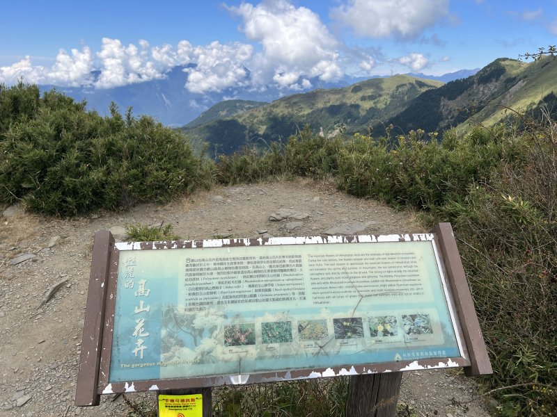 de125d22bb8d3b81ff7e5ddc2688b453.jpg