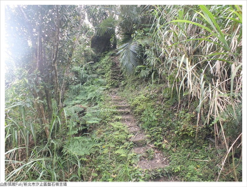 盤石嶺古道 (15).JPG - 盤石嶺古道