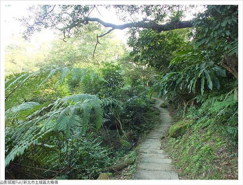 太極嶺 (76).JPG - 太極嶺、五城山