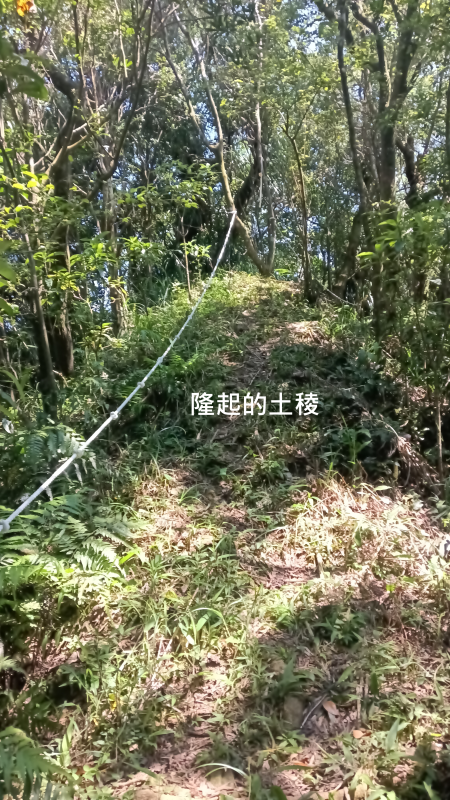 df19009e39ec0da16a5daea1b0691af2.png