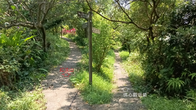 df44ffbd9fa709413c7f6f36570e88f7.png