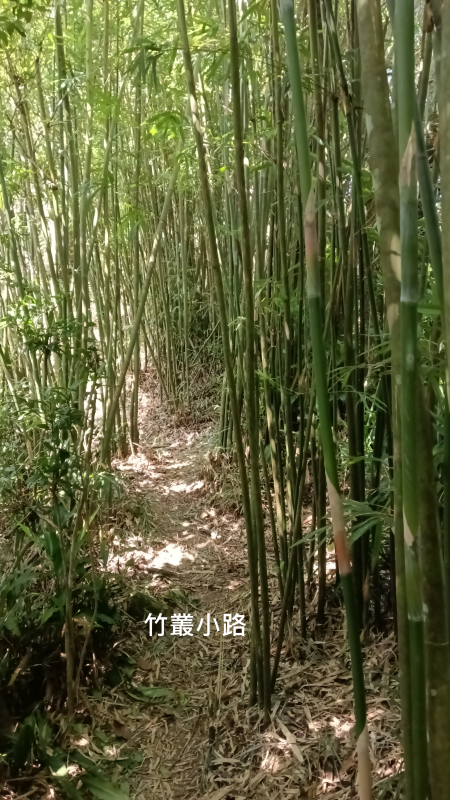 df5881fc4abf8fb56402f16eecf1bb53.png