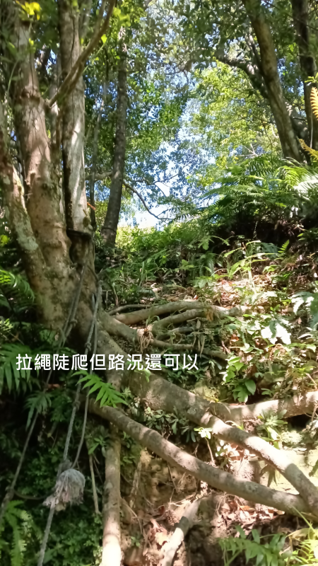 df5e361f08c96704f15deb2e167f6ea1.png