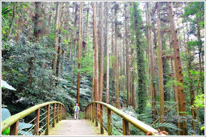 迷糊步道-福山古道