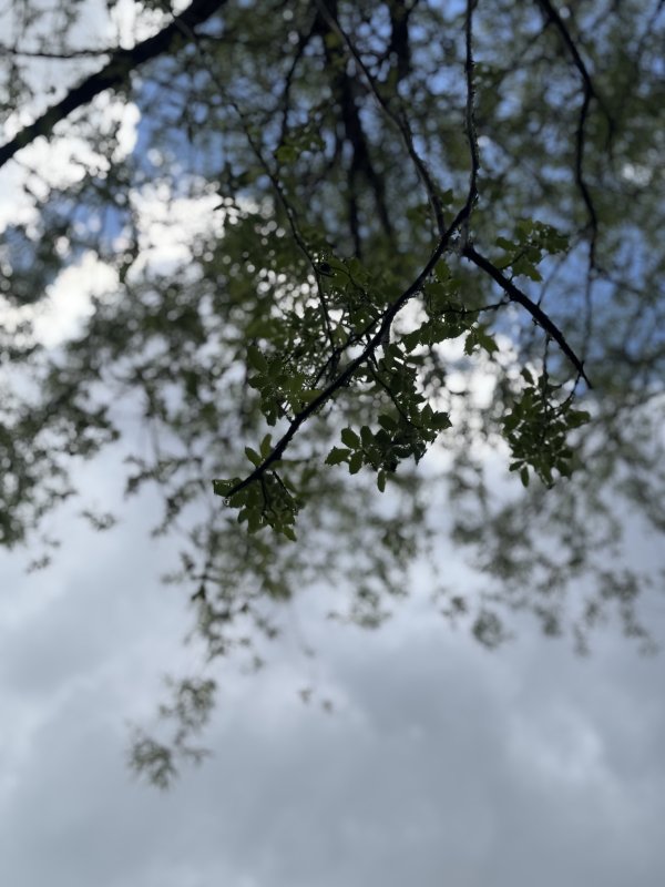 e080d75f83375b783015ffd0b17703ab.jpg