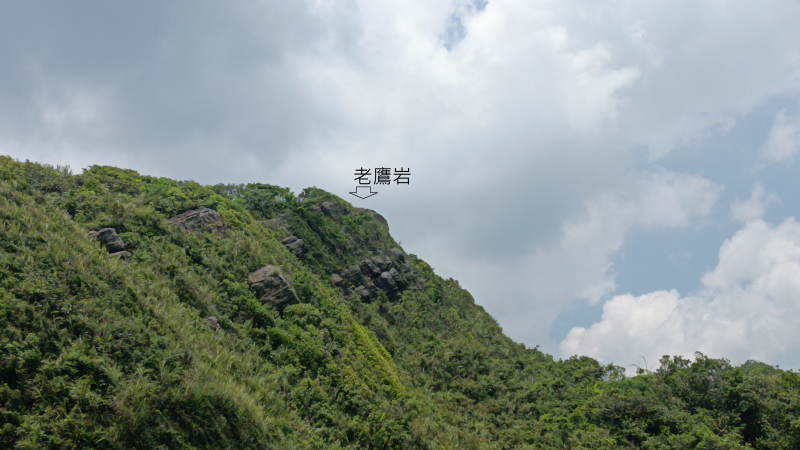 e0ce112411a5f8e6b0f1f2637a0bac81.png
