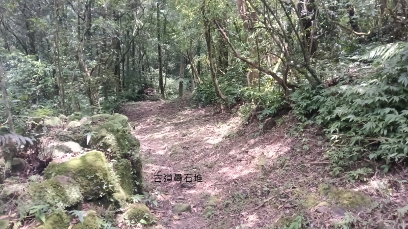 e167195921c8f100c846dcb2314cf392.png