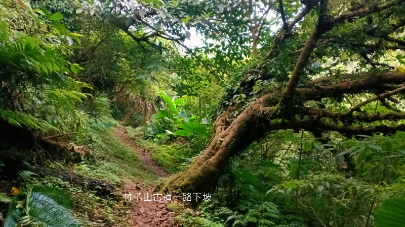 e17f0a674e99f1eb8caa763d5e694e3c.png