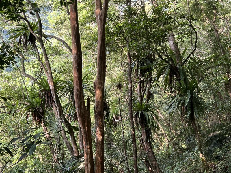 e19eeeb0b2a5a00e85bf9edb5d026a4a.jpg