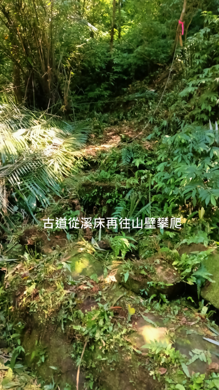 e2383ce6990fa2f7db5c7ae63af96ddd.png