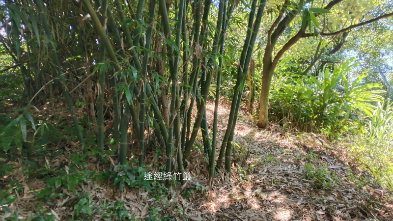 e23f686cc48082203da576d130235c81.png
