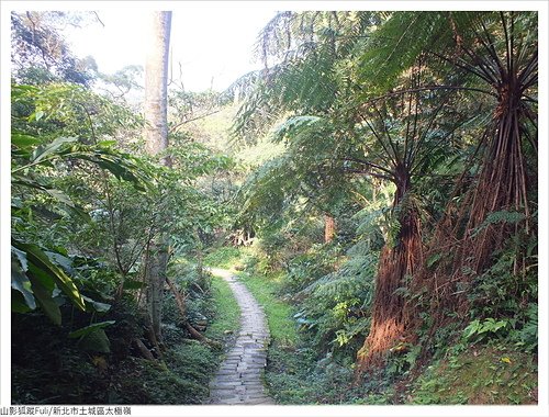 太極嶺 (79).JPG - 太極嶺、五城山