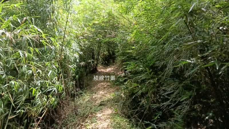 e262aea6efd5b0925805bfe9e12be33a.png